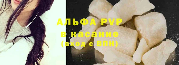 индика Ельня