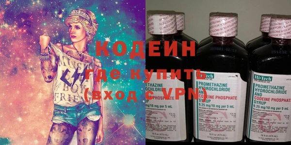 индика Ельня