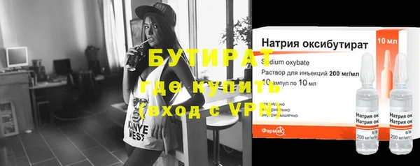 индика Ельня