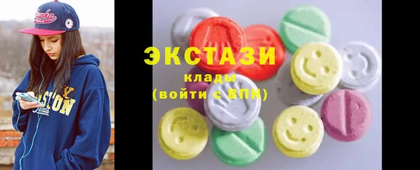 индика Ельня