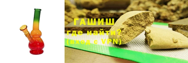 индика Ельня