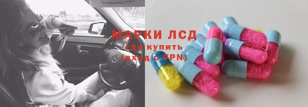 индика Ельня