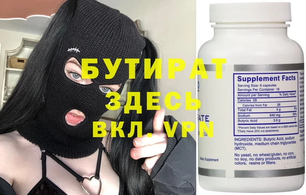 индика Ельня