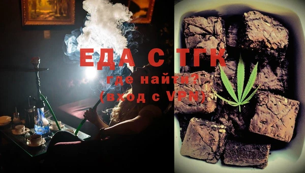 индика Ельня