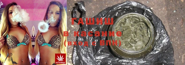 индика Ельня