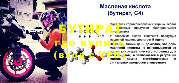 индика Ельня