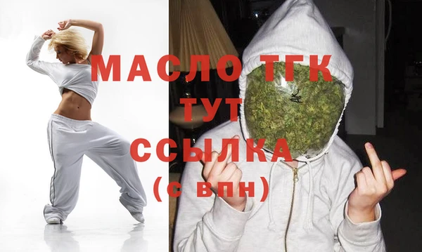 индика Ельня