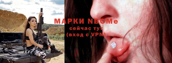 индика Ельня