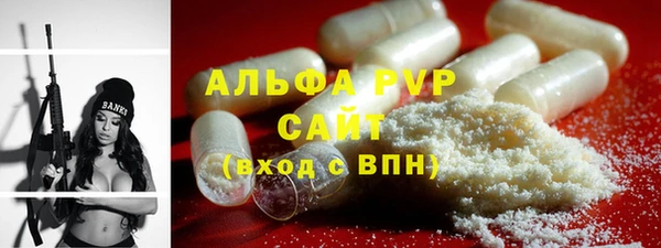 индика Ельня