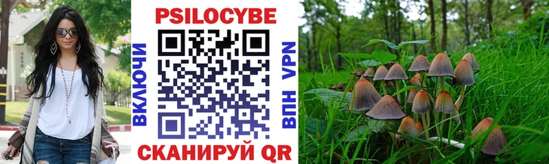 Галлюциногенные грибы MAGIC MUSHROOMS  продажа наркотиков  Каменногорск 